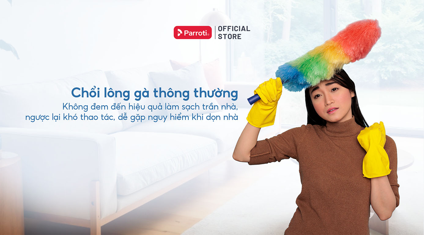 Chổi lông gà thông thường