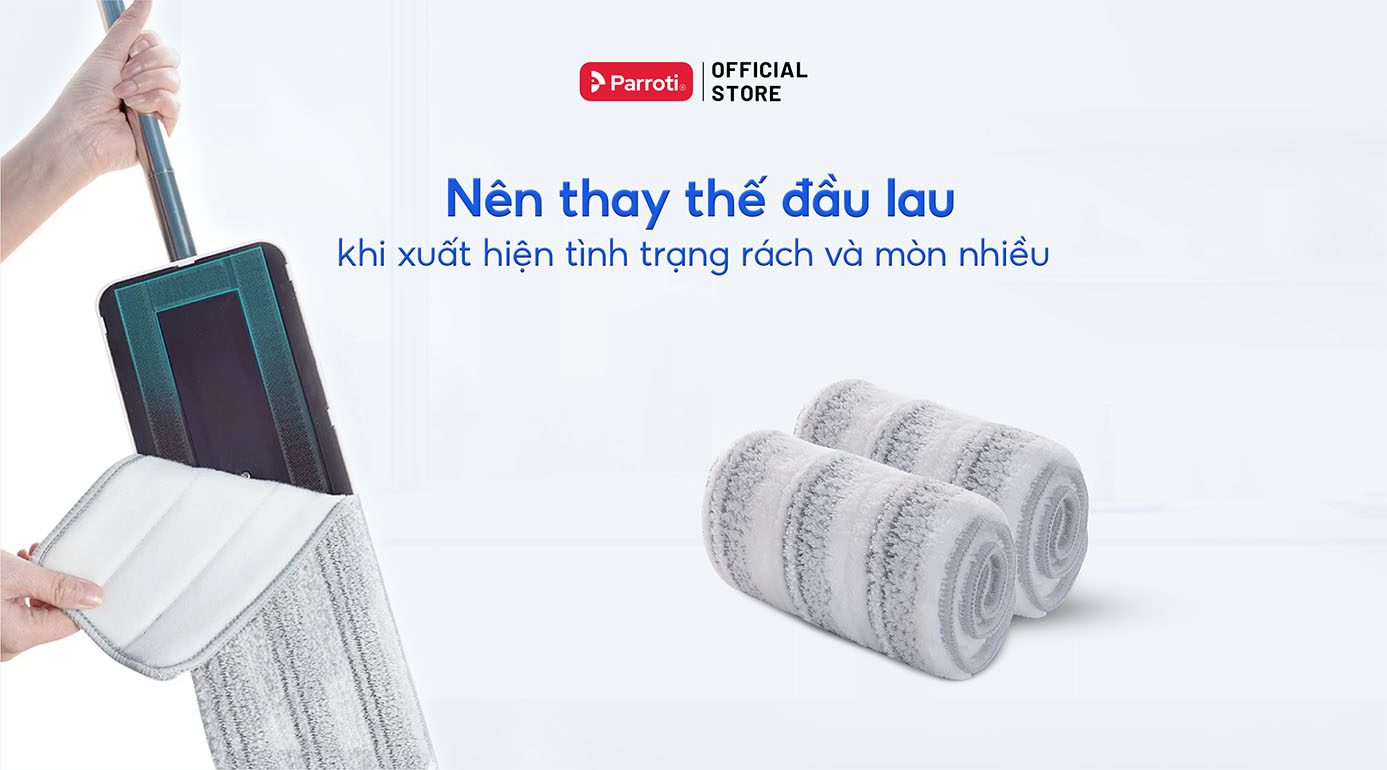 Thay thế bông lau thường xuyên để bảo quản cây lau nhà