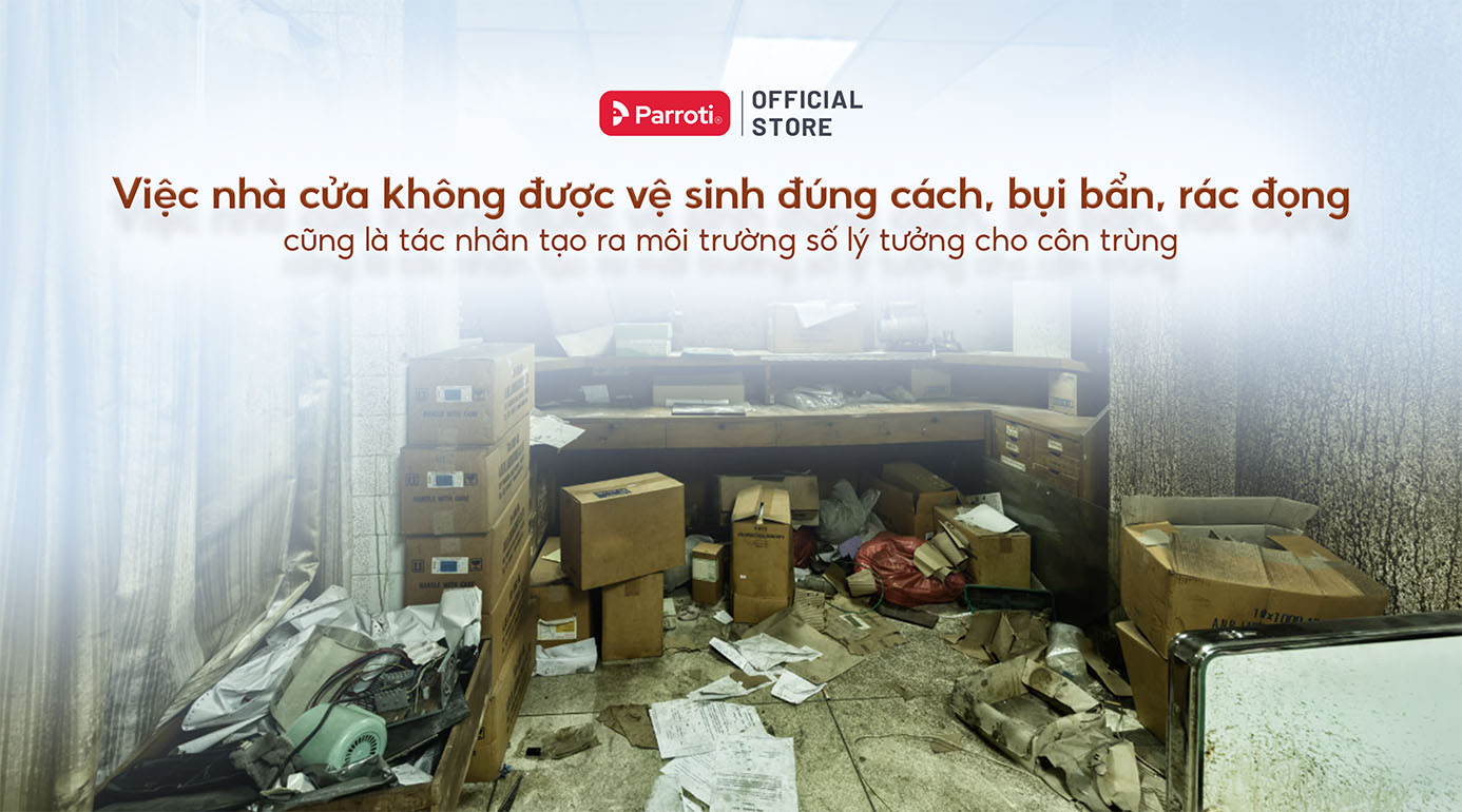 Côn trùng xuất hiện vào mùa mưa khi nhà cửa không được vệ sinh đúng cách
