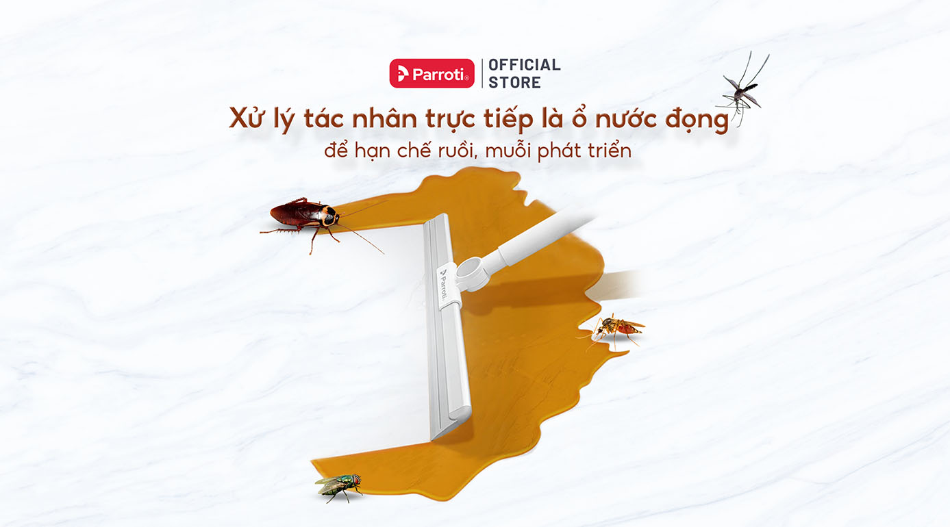 Các ổ nước đọng không được xử lý sẽ khiến cho côn trùng sinh sôi, phát triển