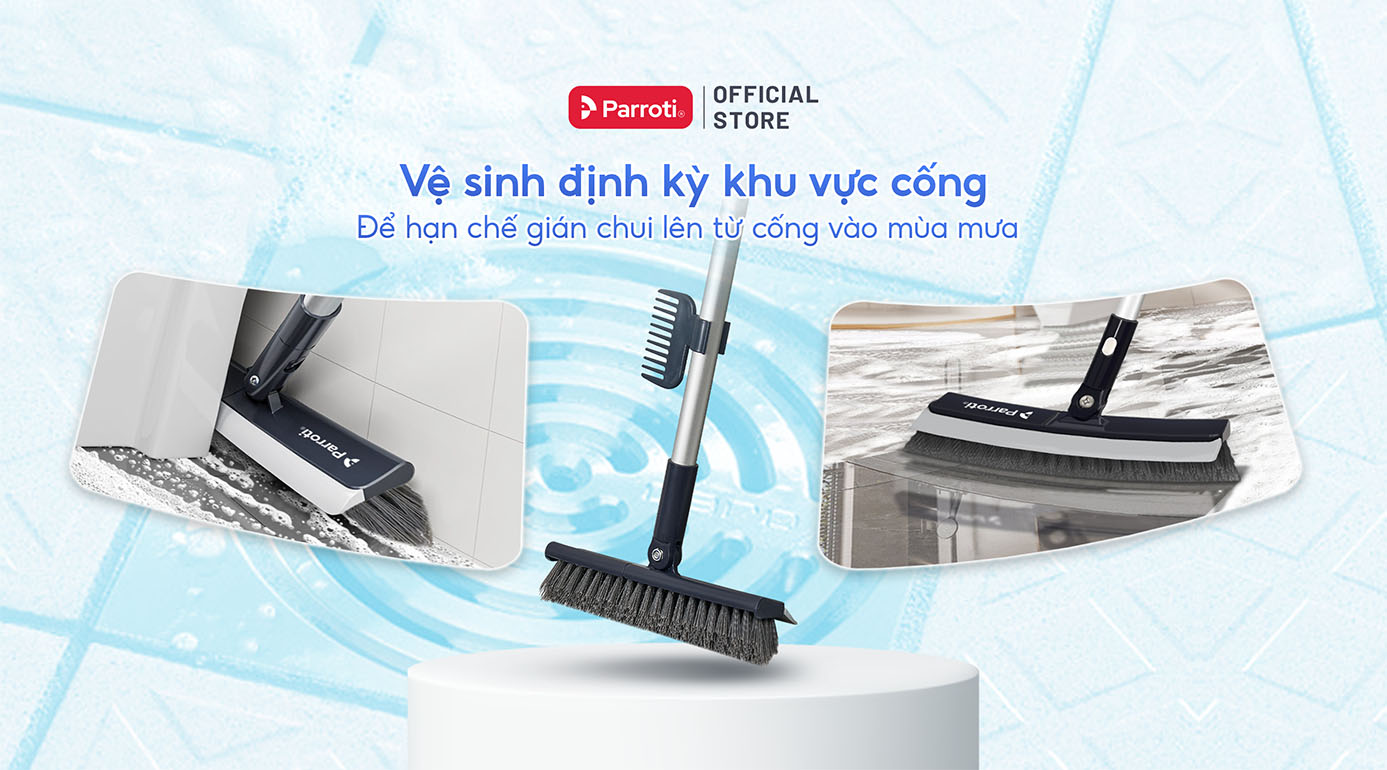 Vệ sinh định kỳ giúp hạn chế gián chui lên từ cống