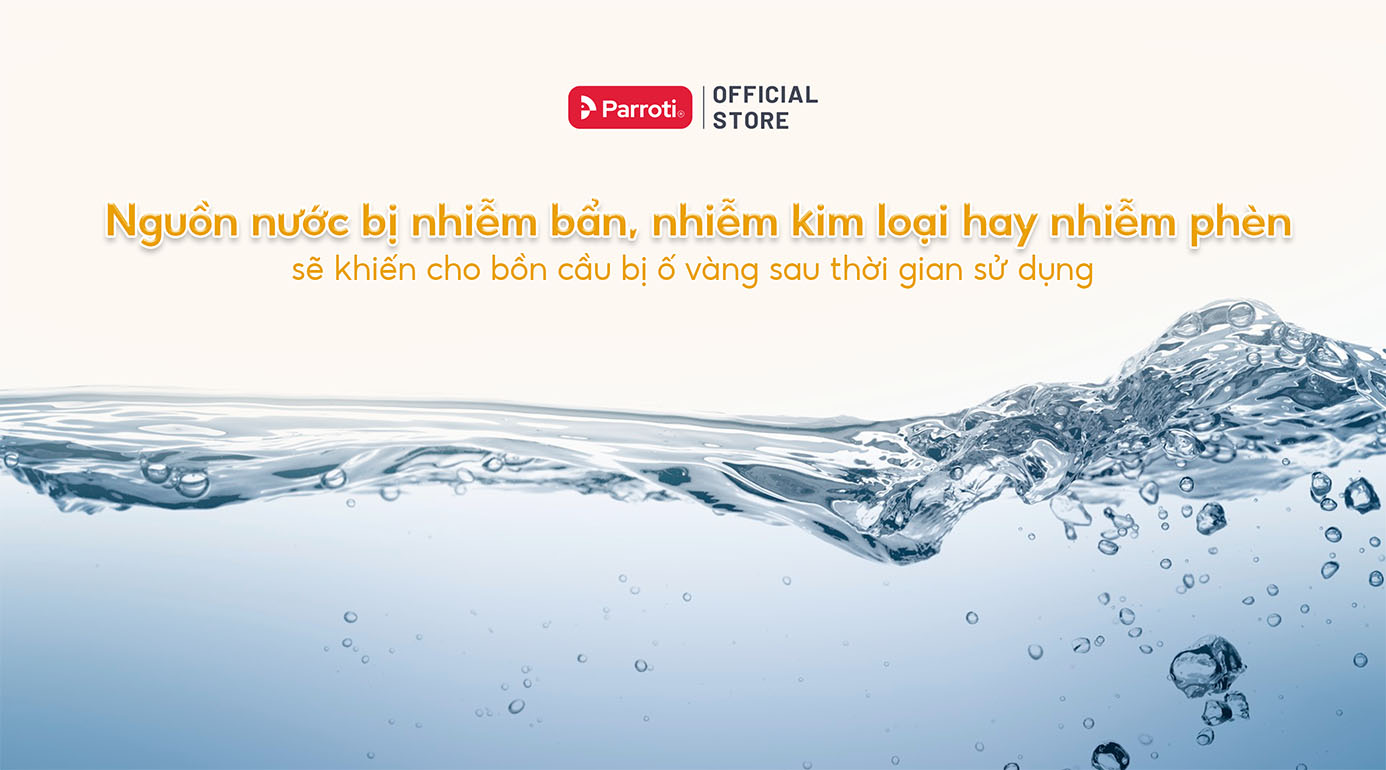 Nguồn nước nhiễm bẩn khiến bồn cầu bị ố vàng