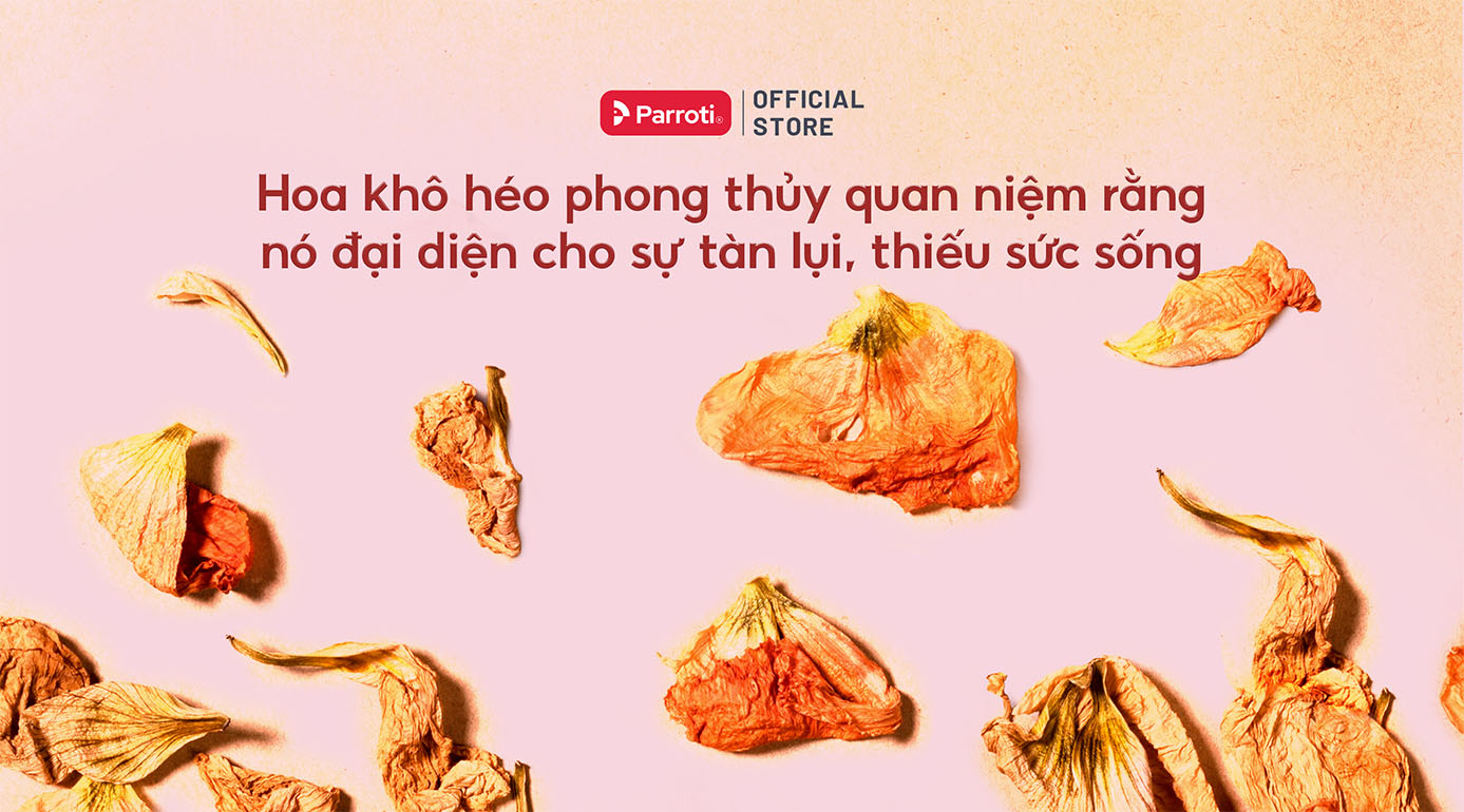 Hoa khô héo đại diện cho sự tàn lụi theo phong thủy dọn nhà cuối năm