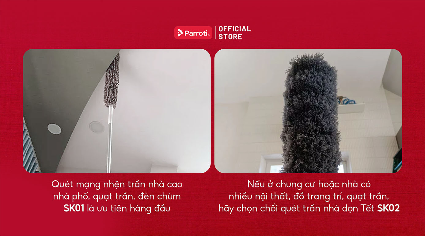 Cây phủi bụi trần nhà nào tốt dọn Tết