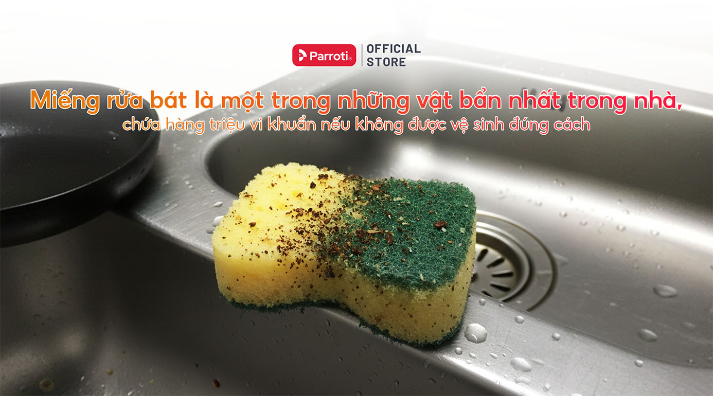 Miếng rửa bát chứa nhiều vi khuẩn