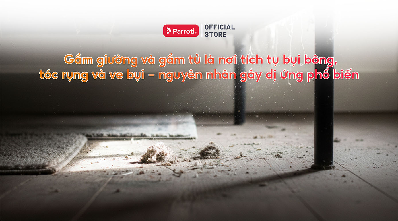 Gầm giường và gầm tủ là nơi ẩn chứa bụi bẩn gây dị ứng phổ biến